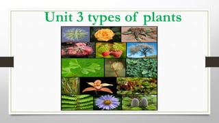 Unit 3 types of plants
 