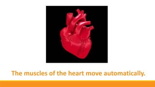 The muscles of the heart move automatically.
 