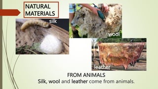 FROM ANIMALS
Silk, wool and leather come from animals.
silk
wool
leather
NATURAL
MATERIALS