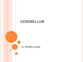 CEREBELLUM
Dr. SHAROJ KHAN
 