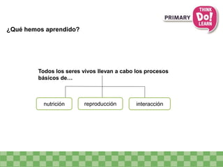 nutrición reproducción interacción
Todos los seres vivos llevan a cabo los procesos
básicos de…
¿Qué hemos aprendido?
 
