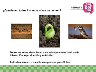 ¿Qué tienen todos los seres vivos en común?
Todos los seres vivos están compuestos por células.
Todos los seres vivos llevan a cabo los procesos básicos de
interacción, reproducción y nutrición.
 
