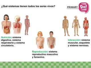 ¿Qué sistemas tienen todos los seres vivos?
Interacción: sistema
muscular, esqueleto
y sistema nervioso.
Reproducción: sistema
reproductivo masculino
y femenino.
Nutrición: sistema
digestivo, sistema
respiratorio y sistema
circulatorio.
 