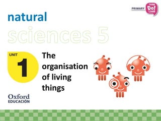 natural
The
organisation
of living
things
 