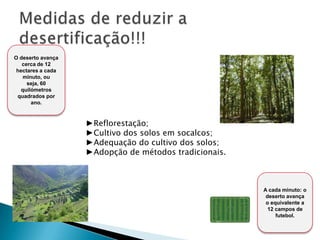 Abuso de pesticidas, herbicidas, químicos….