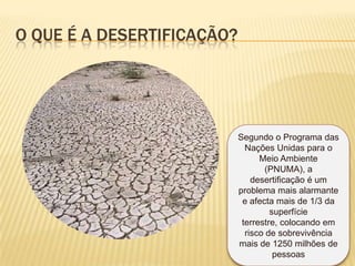 O que é a desertificação?Segundo o Programa das Nações Unidas para o Meio Ambiente (PNUMA), a desertificação é um problema mais alarmante e afecta mais de 1/3 da superfície terrestre, colocando em risco de sobrevivência mais de 1250 milhões de pessoas 