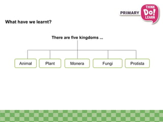 What have we learnt?
Plant Monera Fungi Protista
There are five kingdoms ...
Animal
 