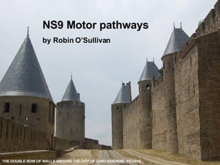 THE DOUBLE ROW OF WALLS AROUND THE CITY OF CARCASSONNE, FRANCE NS9 Motor pathways by Robin O’Sullivan 
