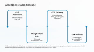 Arachidonic Acid Cascade
Phospholipas
e A₂
Releases
arachidonic acid
LOX Pathway
Leukotrienes
produced (not
blocked)
Cell
Membrane
Phospholipids
reservoir
COX Pathway
Prostaglandins,
TXA₂, prostacyclin
(blocked)
NSAIDs selectively block the COX pathway — prostaglandins mediate pain sensitization, fever, inflammation, platelet aggregation, and gastric mucosal protection. The LOX
pathway (leukotrienes) remains unaffected, which explains the incomplete anti-inflammatory effect of NSAIDs.
 