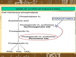 MODE OF ACTION OF PARACETAMOL
 