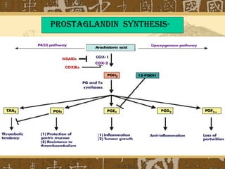 Prostaglandin synthesis-
 