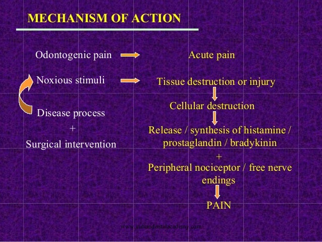 Action Of Mefenamic Acid