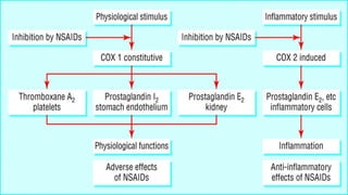 Non Steroidal Anti Inflammatory Drugs | PPTX