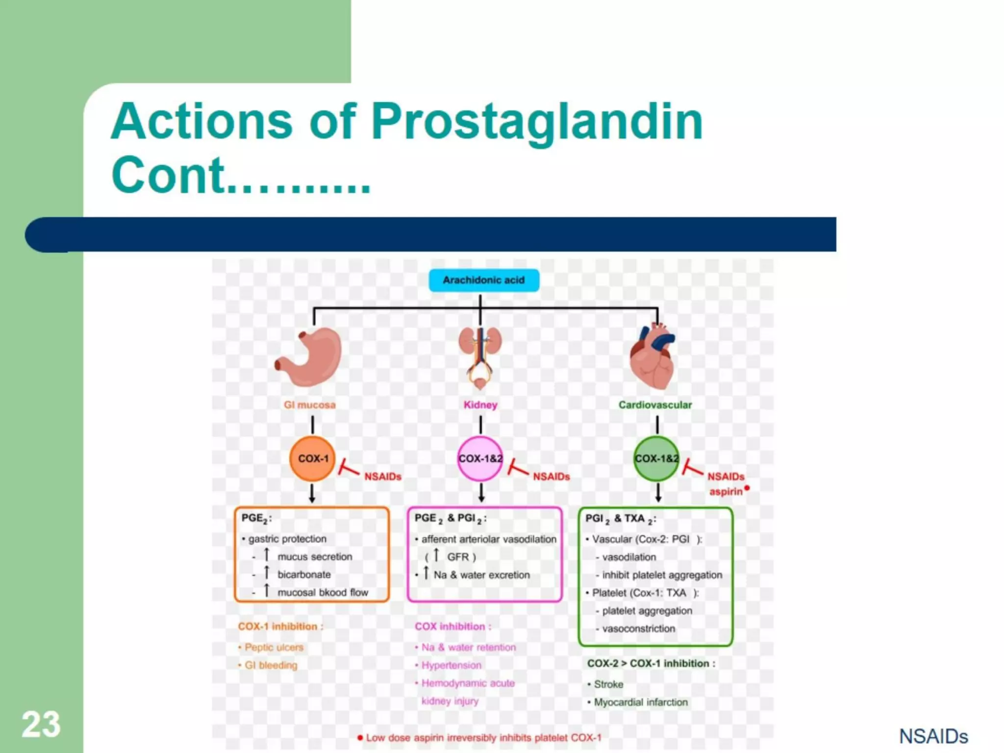 NSAIDs {Anti- Pyretic, Anti-inflammatory, and Analgesic} Pharmacology | PDF