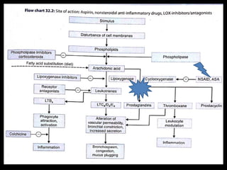 NSAIDS non steroidal anti inflammatory drugs | PPTX