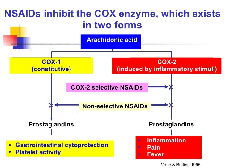 the action of enzymes essay Free essay: introduction: enzymes are an important part of all metabolic reactions in the enzymes function as biological catalyst, regulating the rate at which. the action of enzymes essay Free essay: introduction: enzymes are an important part of all metabolic reactions in the enzymes function as biological catalyst, regulating the rate at which.