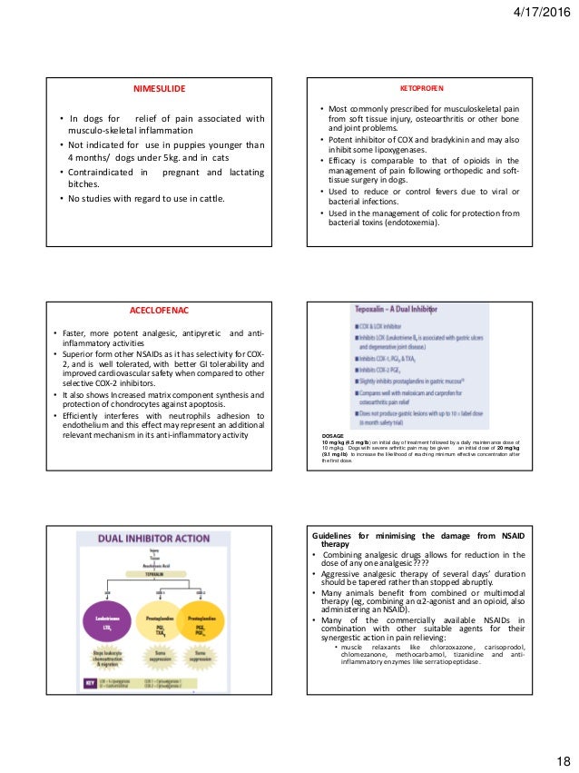 Nsaids veterinary pharmacology