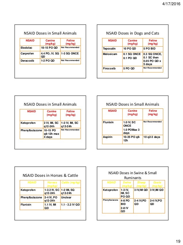 Nsaids veterinary pharmacology