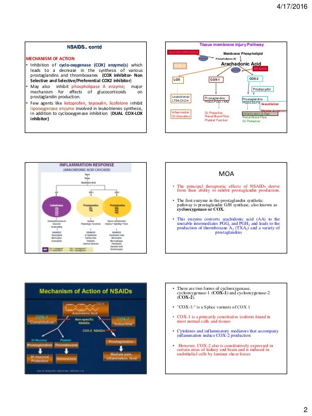 Nsaids veterinary pharmacology