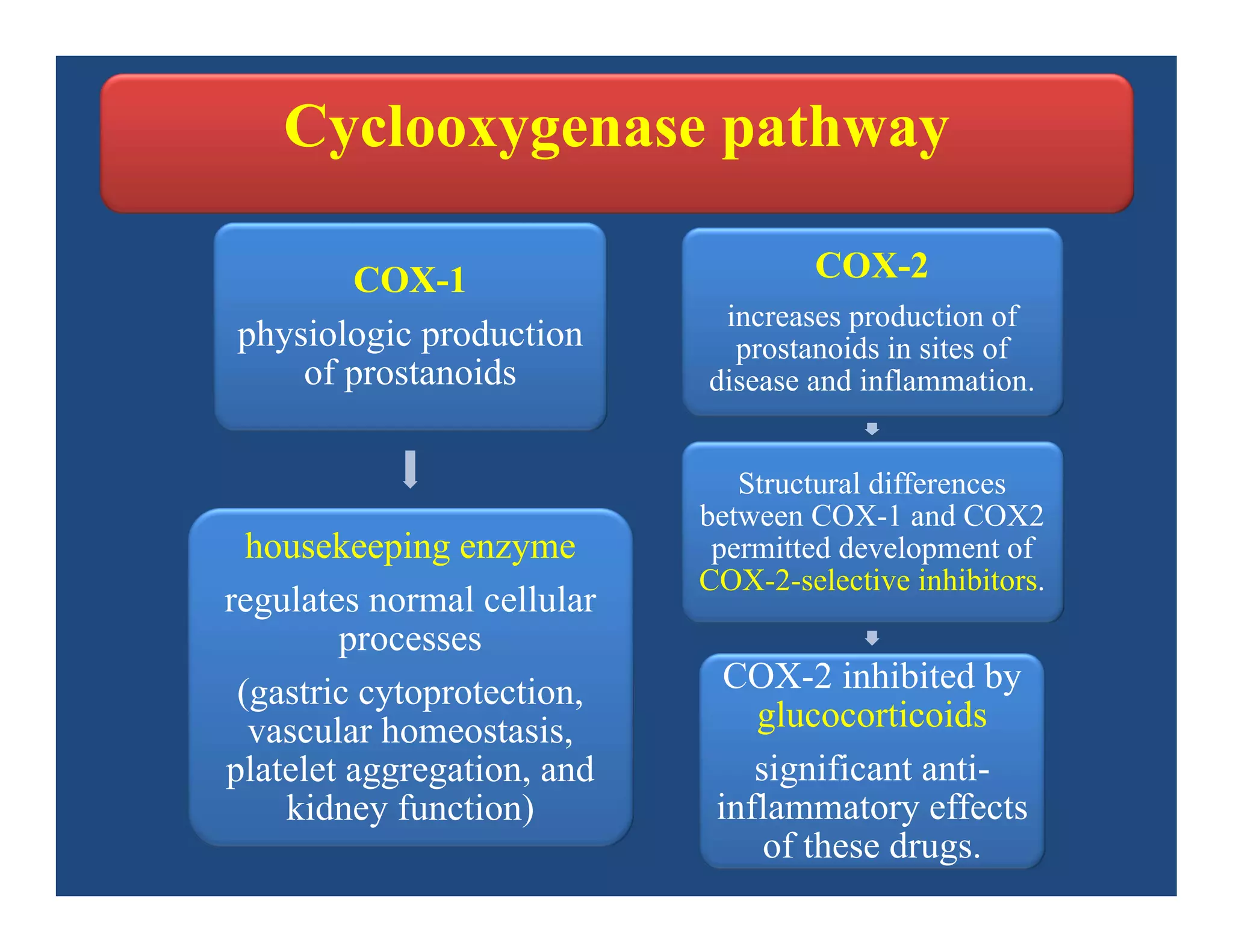 COX-1
physiologic production
of prostanoids
housekeeping enzyme
regulates normal cellular
processes
(gastric cytoprotection,
vascular homeostasis,
platelet aggregation, and
kidney function)
COX-2
increases production of
prostanoids in sites of
disease and inflammation.
Structural differences
between COX-1 and COX2
permitted development of
COX-2-selective inhibitors.
COX-2 inhibited by
glucocorticoids
significant anti-
inflammatory effects
of these drugs.
Cyclooxygenase pathway
 