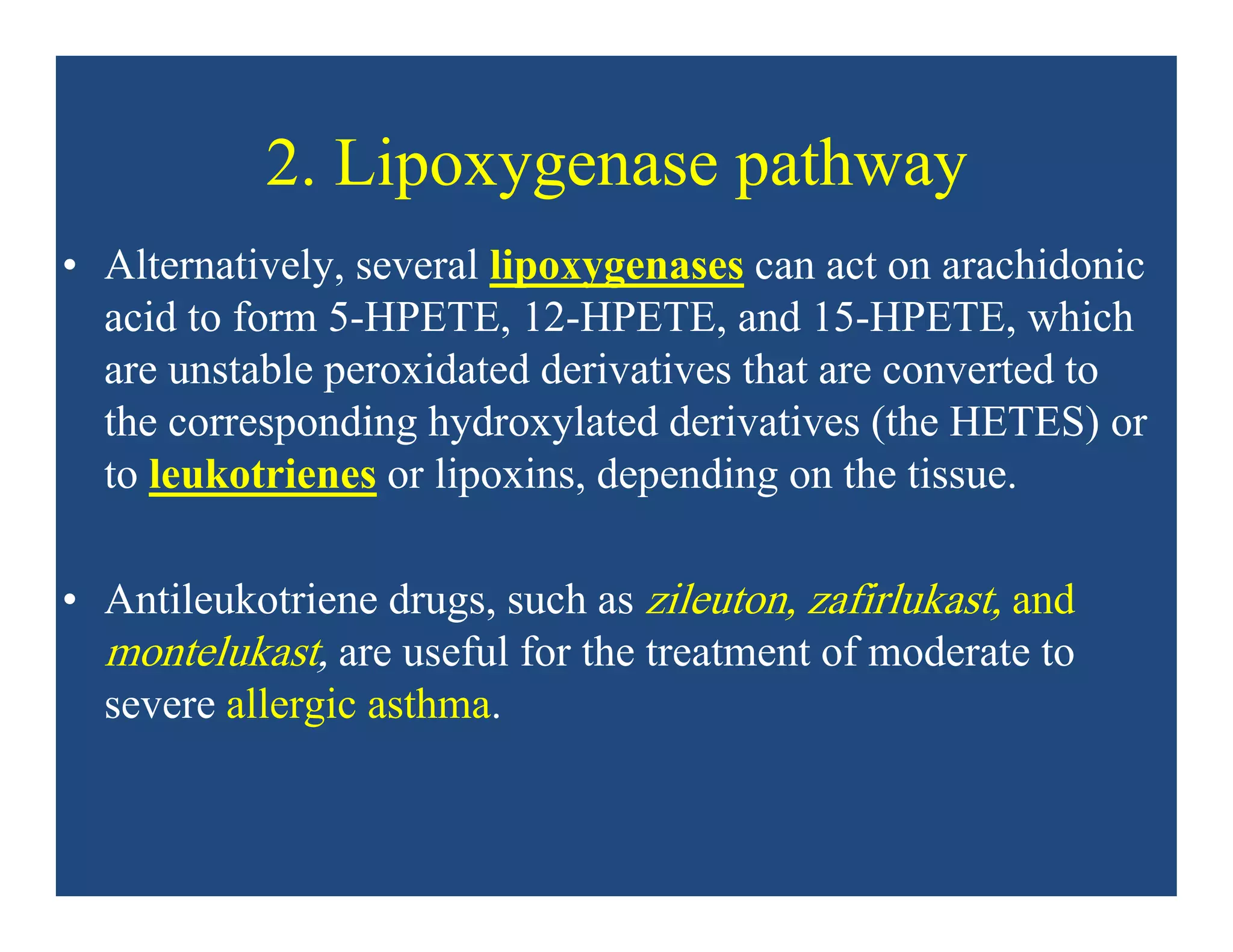 2. Lipoxygenase pathway
• Alternatively, several lipoxygenases can act on arachidonic
acid to form 5-HPETE, 12-HPETE, and 15-HPETE, which
are unstable peroxidated derivatives that are converted to
the corresponding hydroxylated derivatives (the HETES) or
to leukotrienes or lipoxins, depending on the tissue.
• Antileukotriene drugs, such as zileuton, zafirlukast, and
montelukast, are useful for the treatment of moderate to
severe allergic asthma.
 