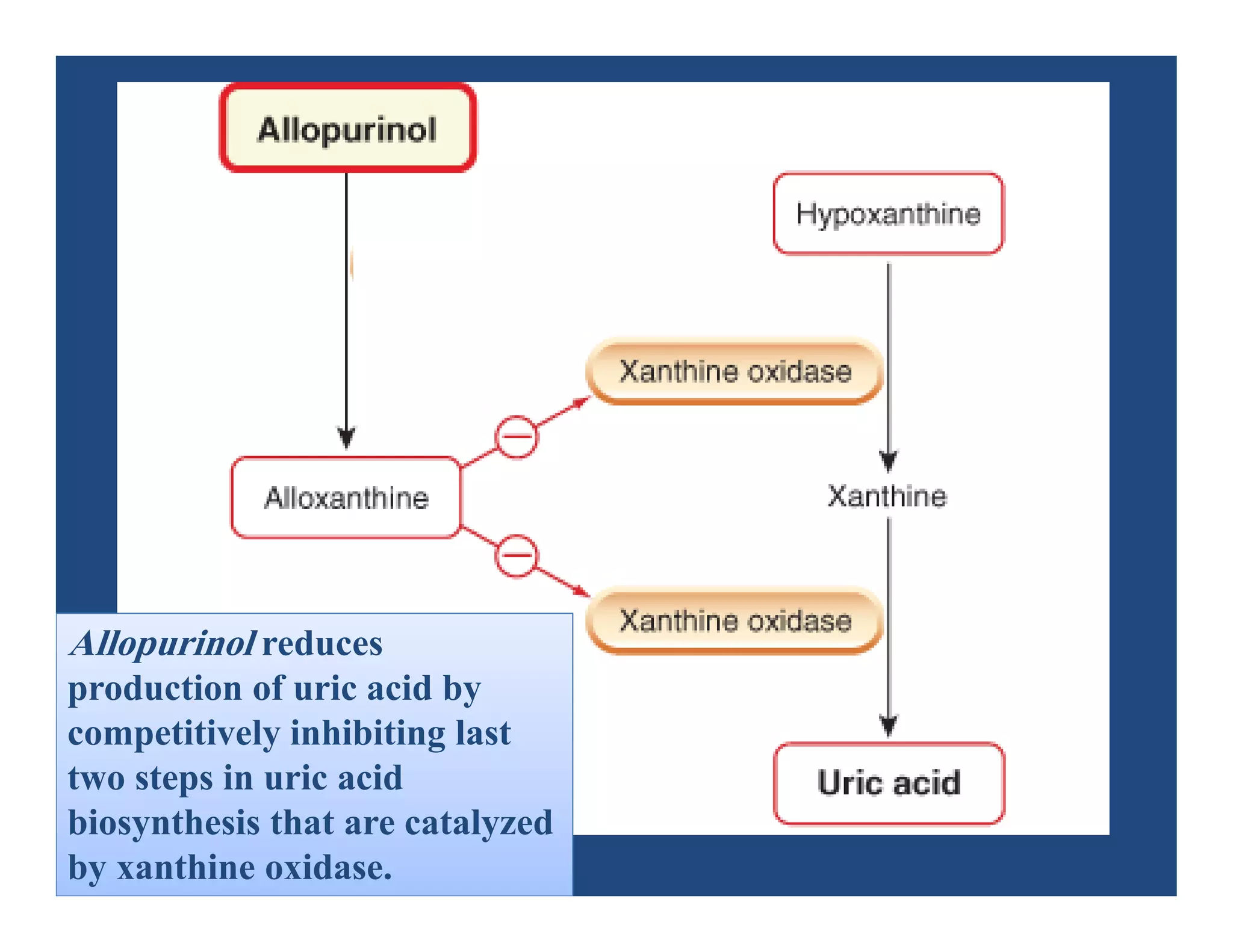 Allopurinol reduces
production of uric acid by
competitively inhibiting last
two steps in uric acid
biosynthesis that are catalyzed
by xanthine oxidase.
 