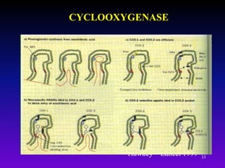 33
CYCLOOXYGENASE
Hawkey – Lancet 1999
 