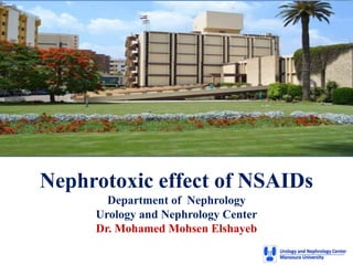Nephrotoxic effect of NSAIDs
Department of Nephrology
Urology and Nephrology Center
Dr. Mohamed Mohsen Elshayeb
 