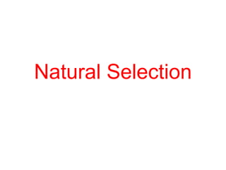 Natural Selection
 