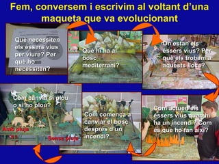Fem, conversem i escrivim al voltant d’una maqueta que va evolucionant Qu è necessiten els éssers vius per viure? Per què ho necessiten? On estan els  éssers vius? Per què els trobem a aquests llocs? Qu è hi ha al bosc mediterrani? Com actuen  els éssers vius quan hi ha un incendi? Com és que ho fan així? Com comença a canviar el bosc despr és d’un incendi? Com canvia si plou o si no plou ? Amb pluja Sense pluja 