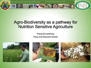 The Agro-Biodiversity Initiative (TABI)ໂຄງການພັ ດທະນາລະບົ ບນິ ເວດຊີ ວະນາໆພັ ນກະສິ ກາຢູູ່ ເຂດພູ ດອຍ
Agro-Biodiversity as a pathway for
Nutrition Sensitive Agriculture
Pheng Souvanthong
Policy and Extension Adviser
 