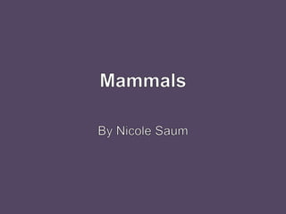 Mammals By Nicole Saum 