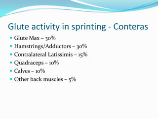 Glute activity in sprinting - Conteras
 Glute Max – 30%
 Hamstrings/Adductors – 30%
 Contralateral Latissimis – 15%
 Quadraceps – 10%
 Calves – 10%
 Other back muscles – 5%
 