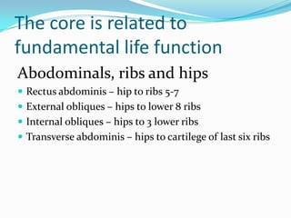 The core is related to
fundamental life function
Abodominals, ribs and hips
 Rectus abdominis – hip to ribs 5-7
 External obliques – hips to lower 8 ribs
 Internal obliques – hips to 3 lower ribs
 Transverse abdominis – hips to cartilege of last six ribs
 