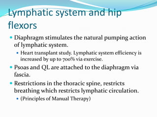 Lymphatic system and hip
flexors
 Diaphragm stimulates the natural pumping action
of lymphatic system.
 Heart transplant study. Lymphatic system efficiency is
increased by up to 700% via exercise.
 Psoas and QL are attached to the diaphragm via
fascia.
 Restrictions in the thoracic spine, restricts
breathing which restricts lymphatic circulation.
 (Principles of Manual Therapy)
 