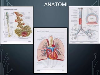 ANATOMI
 