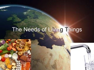 The Needs of Living Things
 