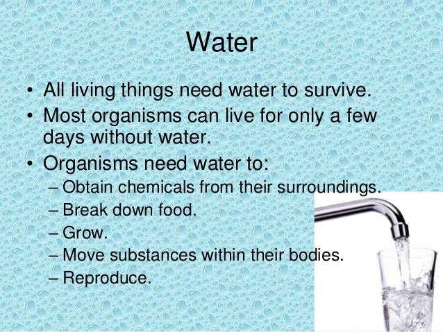 What Are The Ways Organisms Can Obtain Food What Are The Ways Organisms Can Obtain Food