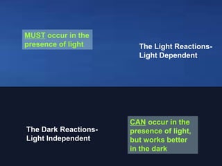 The Light Reactions-
Light Dependent
The Dark Reactions-
Light Independent
MUST occur in the
presence of light
CAN occur in the
presence of light,
but works better
in the dark
 