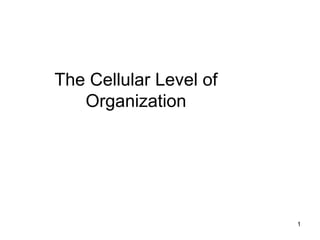 The Cellular Level of
Organization
1
 
