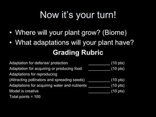Now it’s your turn!
• Where will your plant grow? (Biome)
• What adaptations will your plant have?
Grading Rubric
Adaptation for defense/ protection __________ (10 pts)
Adaptation for acquiring or producing food __________ (10 pts)
Adaptations for reproducing
(Attracting pollinators and spreading seeds) __________ (10 pts)
Adaptations for acquiring water and nutrients __________ (10 pts)
Model is creative __________ (10 pts)
Total points = 100
 