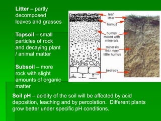 Litter – partly
decomposed
leaves and grasses
Topsoil – small
particles of rock
and decaying plant
/ animal matter
Subsoil – more
rock with slight
amounts of organic
matter
Soil pH – acidity of the soil will be affected by acid
deposition, leaching and by percolation. Different plants
grow better under specific pH conditions.
 