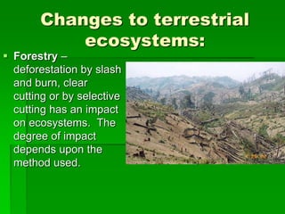 Changes to terrestrial
ecosystems:
 Forestry –
deforestation by slash
and burn, clear
cutting or by selective
cutting has an impact
on ecosystems. The
degree of impact
depends upon the
method used.
 