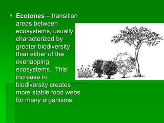  Ecotones – transition
areas between
ecosystems, usually
characterized by
greater biodiversity
than either of the
overlapping
ecosystems. This
increase in
biodiversity creates
more stable food webs
for many organisms.
 