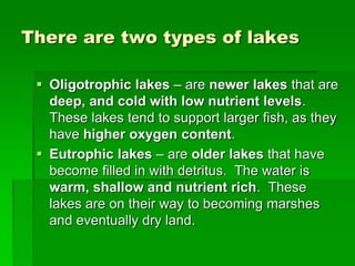 There are two types of lakes
 Oligotrophic lakes – are newer lakes that are
deep, and cold with low nutrient levels.
These lakes tend to support larger fish, as they
have higher oxygen content.
 Eutrophic lakes – are older lakes that have
become filled in with detritus. The water is
warm, shallow and nutrient rich. These
lakes are on their way to becoming marshes
and eventually dry land.
 