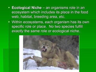  Ecological Niche – an organisms role in an
ecosystem which includes its place in the food
web, habitat, breeding area, etc.
 Within ecosystems, each organism has its own
specific role or place. No two species fulfill
exactly the same role or ecological niche.
 