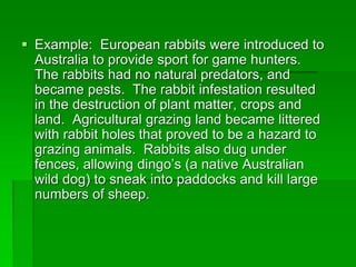  Example: European rabbits were introduced to
Australia to provide sport for game hunters.
The rabbits had no natural predators, and
became pests. The rabbit infestation resulted
in the destruction of plant matter, crops and
land. Agricultural grazing land became littered
with rabbit holes that proved to be a hazard to
grazing animals. Rabbits also dug under
fences, allowing dingo’s (a native Australian
wild dog) to sneak into paddocks and kill large
numbers of sheep.
 