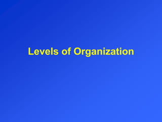 Levels of Organization
 