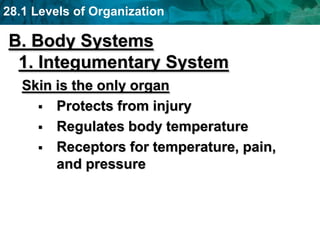 28.1 Levels of Organization
B. Body Systems
1. Integumentary System
Skin is the only organ
 Protects from injury
 Regulates body temperature
 Receptors for temperature, pain,
and pressure
 
