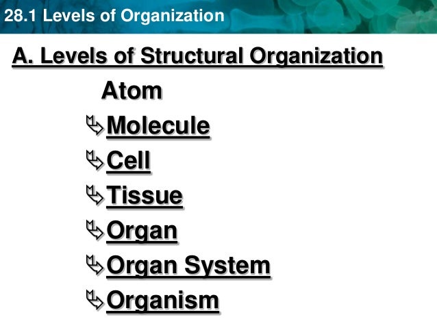 Nscu 302 Wk 7 1 Nscu 302 Wk 7 1